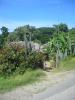 img038.jpeg.small.jpeg