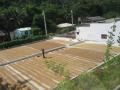 img039.jpeg.small.jpeg
