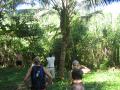 img045.jpeg.small.jpeg