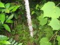 img053.jpeg.small.jpeg