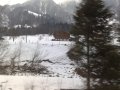 011-29012009247.jpg.small.jpeg