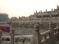 img006.jpeg.small.jpeg