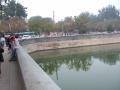 img016.jpeg.small.jpeg