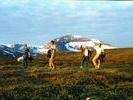 pfjellet1