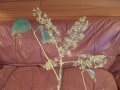 001-dscf1724.jpg.small.jpeg
