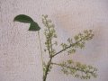 002-dscf1725.jpg.small.jpeg