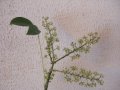 003-dscf1726.jpg.small.jpeg