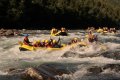 018-DSC_7407.JPG.small.jpeg